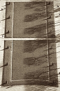 Wall_Art_Alphabet_Photography_Art_ 787
